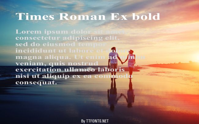 Times Roman Ex bold example