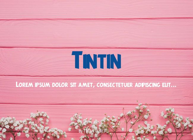Tintin example