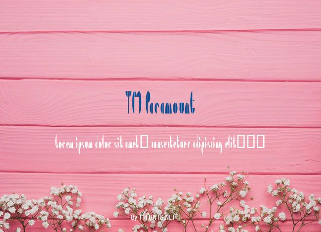 TM Paramount example