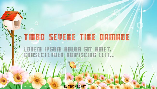 TMBG Severe Tire Damage example