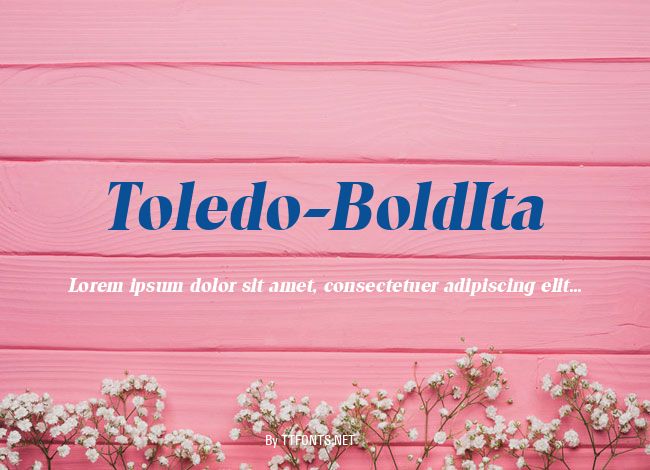 Toledo-BoldIta example