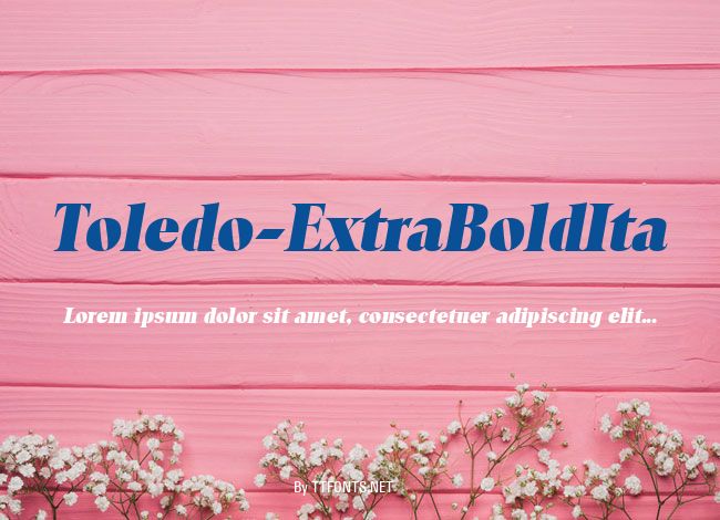 Toledo-ExtraBoldIta example