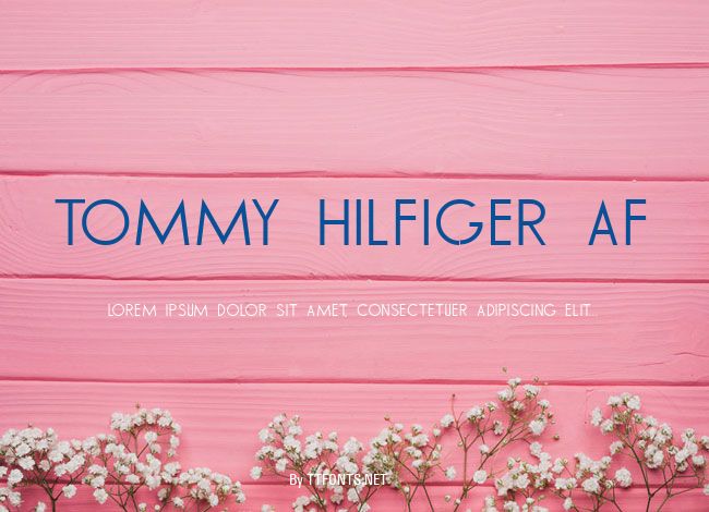 TOMMY HILFIGER AF example