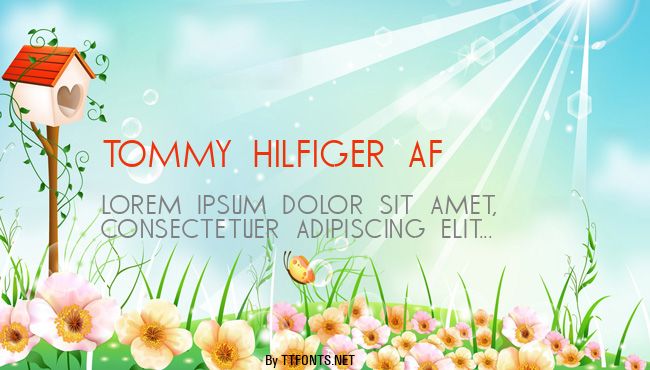 TOMMY HILFIGER AF example