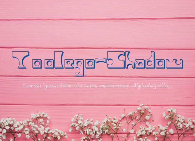Toolego-Shadow example