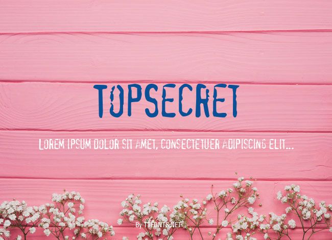TopSecret example