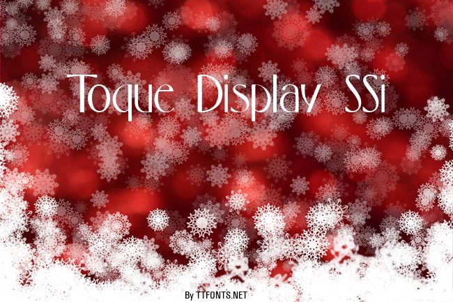 Toque Display SSi example