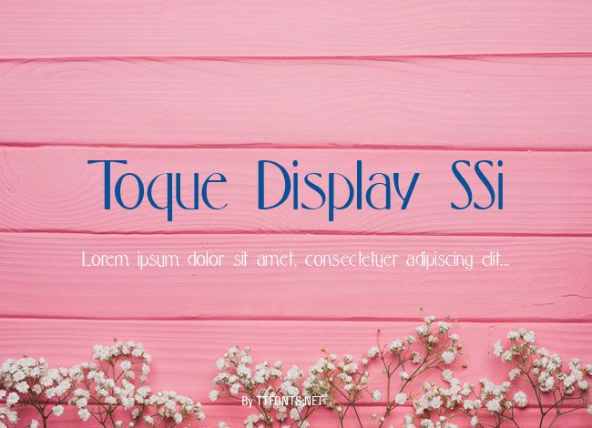 Toque Display SSi example