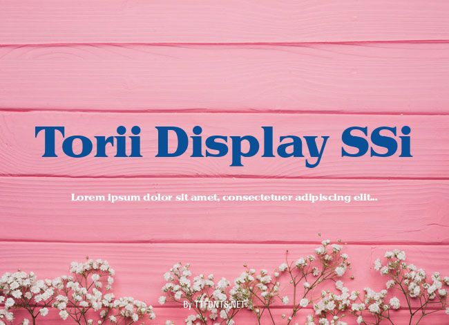 Torii Display SSi example