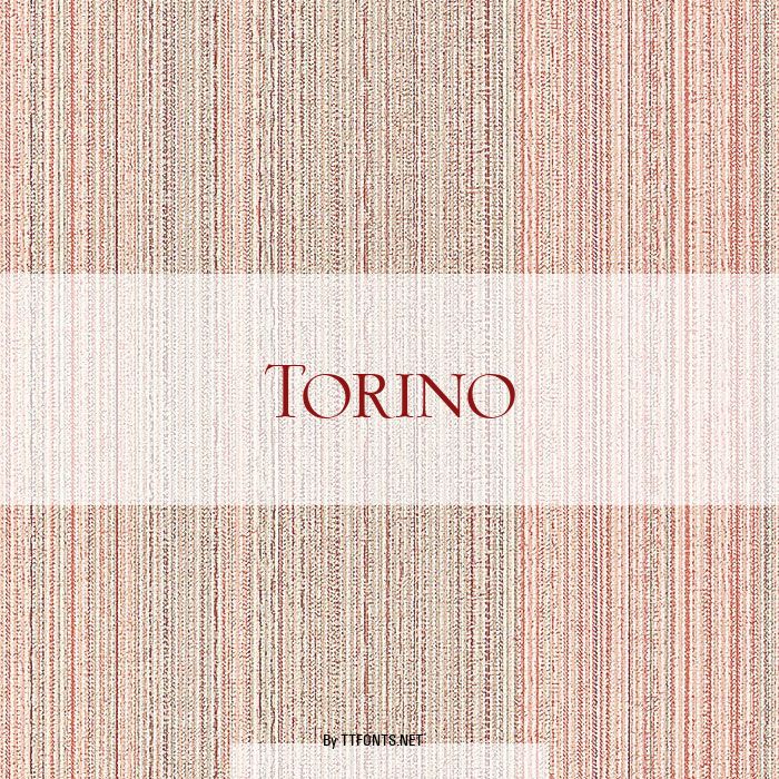 Torino example