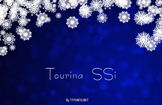 Tourina SSi example