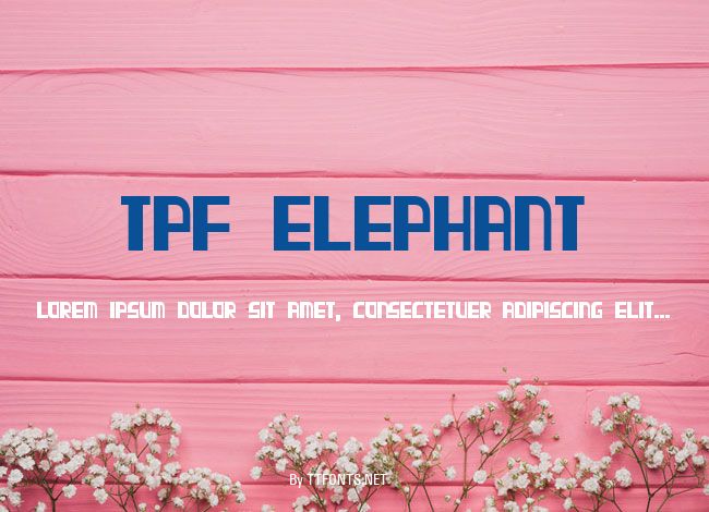 TPF Elephant example