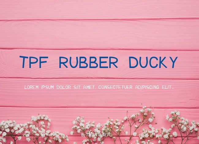 TPF Rubber Ducky example