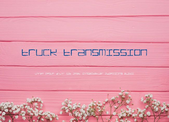 TRUCK Transmission example