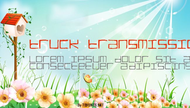 TRUCK Transmission example