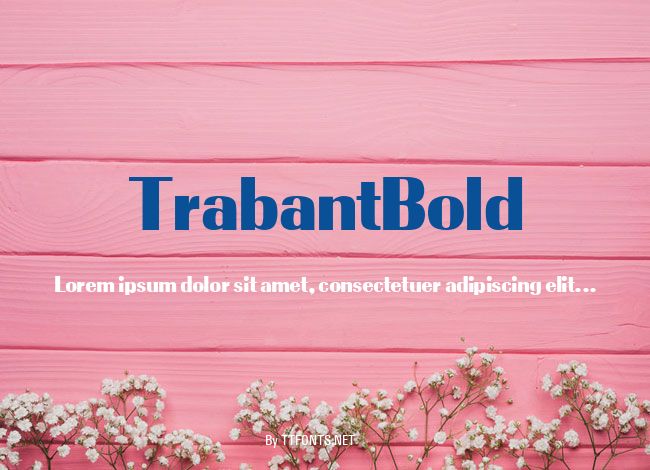 TrabantBold example