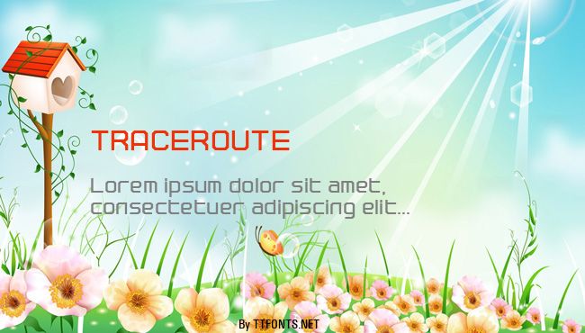 TRACEROUTE example