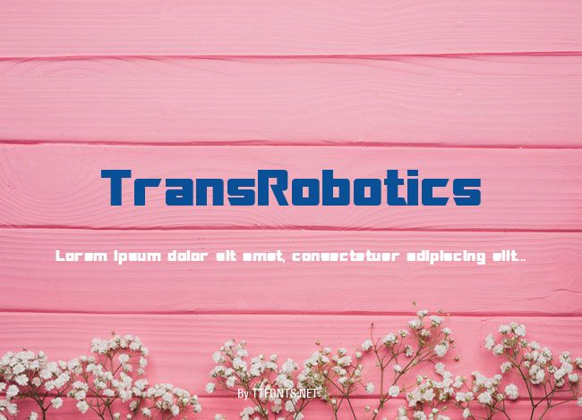 TransRobotics example