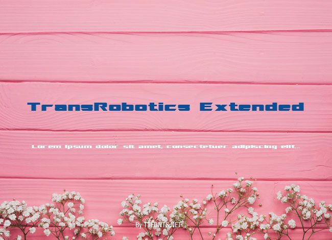 TransRobotics Extended example