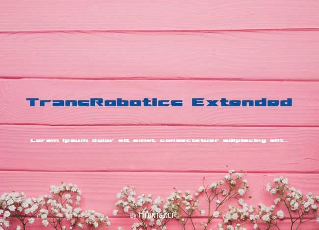 TransRobotics Extended example