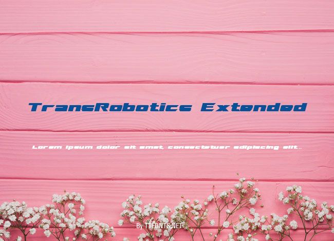 TransRobotics Extended example
