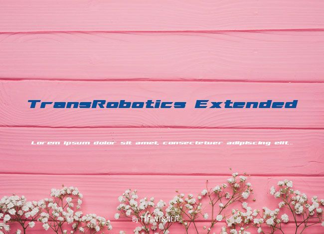 TransRobotics Extended example