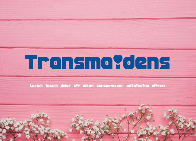 Transmaidens example