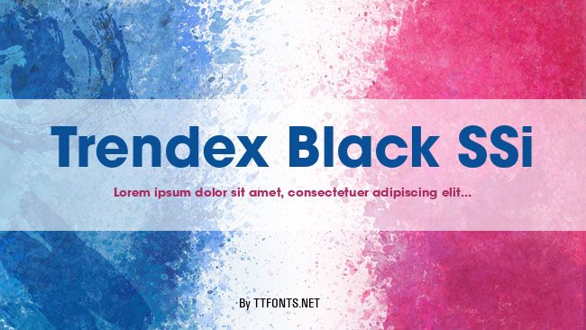 Trendex Black SSi example
