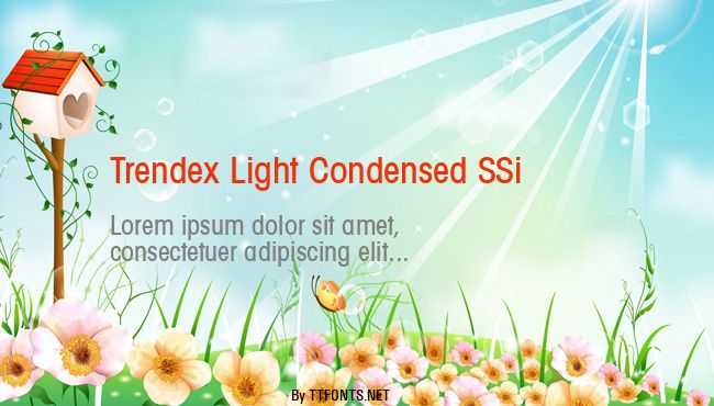 Trendex Light Condensed SSi example