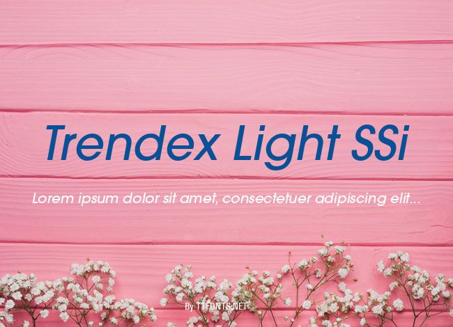 Trendex Light SSi example