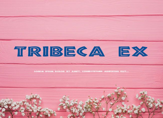 Tribeca Ex example