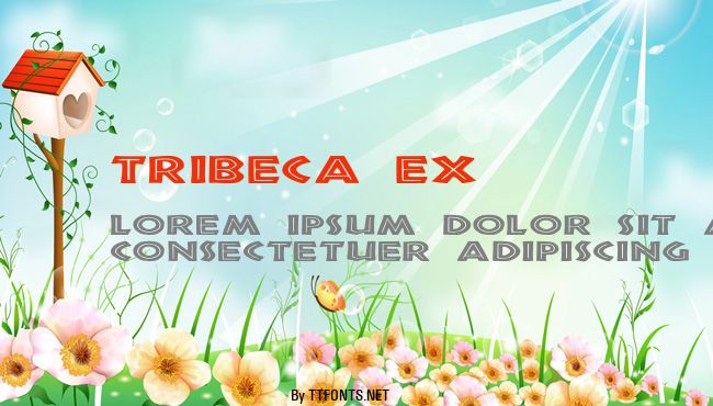Tribeca Ex example