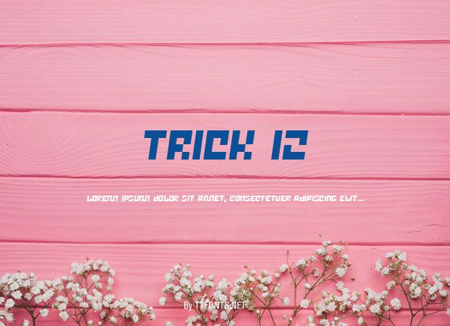 Trick 12 example