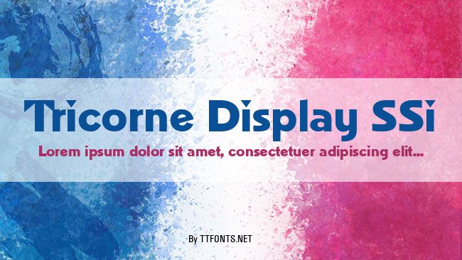 Tricorne Display SSi example