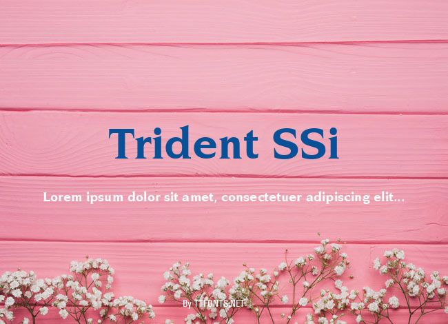 Trident SSi example