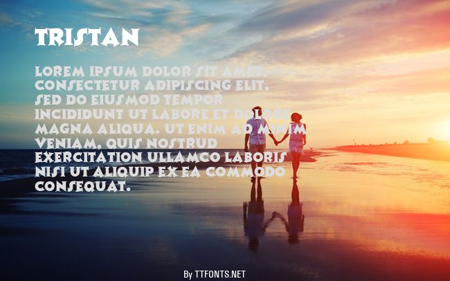 Tristan example