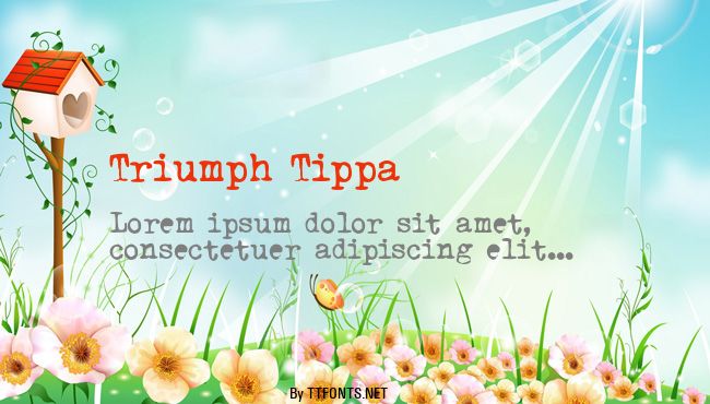 Triumph Tippa example