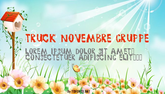 TRUCK NOVEMBRE GRUPPE example