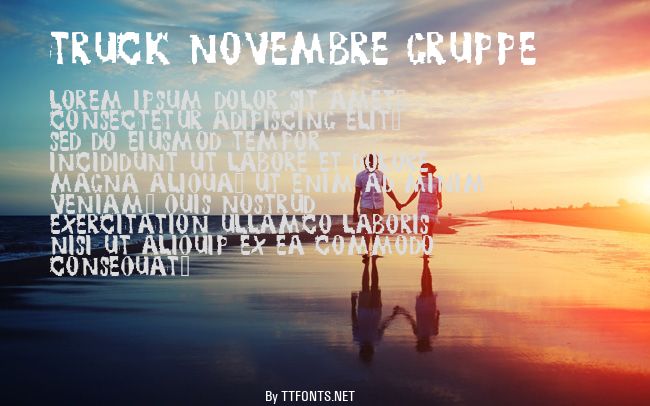 TRUCK NOVEMBRE GRUPPE example
