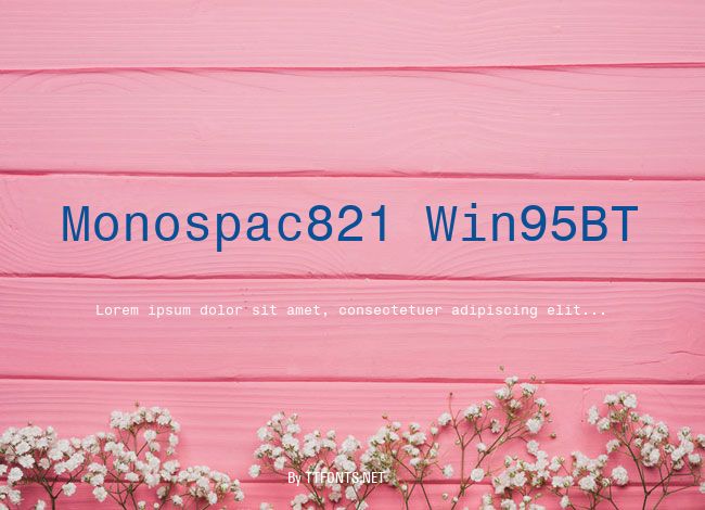 Monospac821 Win95BT example