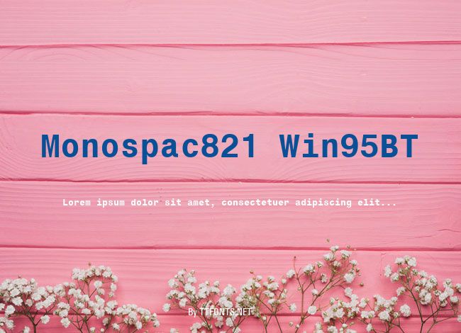 Monospac821 Win95BT example