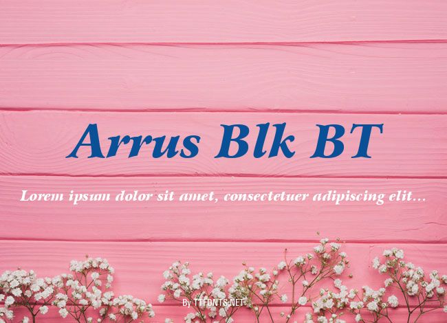 Arrus Blk BT example