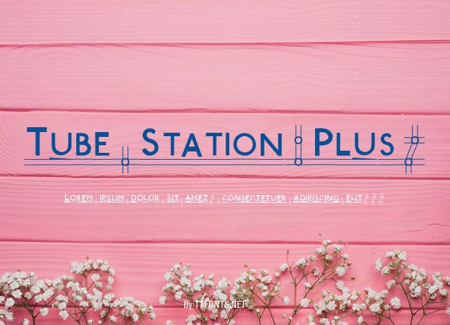 Tube Station-Plus. example