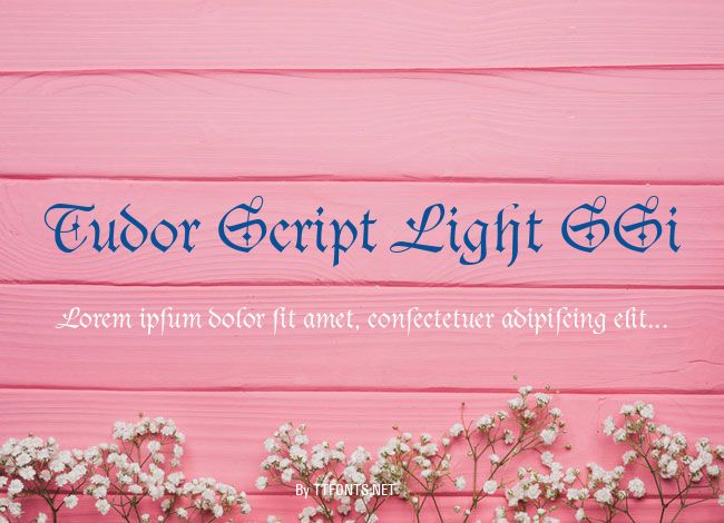 Tudor Script Light SSi example