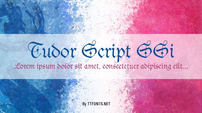 Tudor Script SSi example