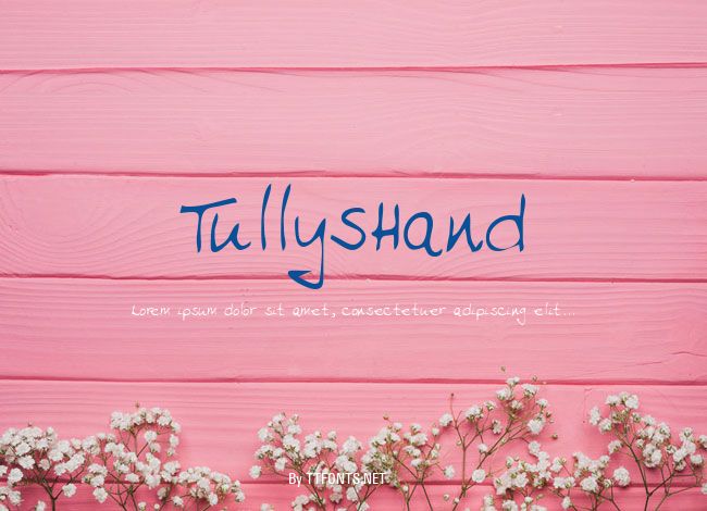 TullysHand example
