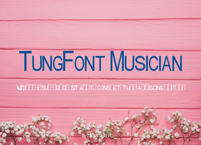 TungFont Musician example