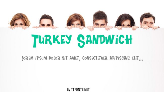 Turkey Sandwich example