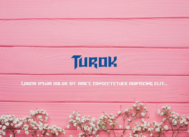 Turok example