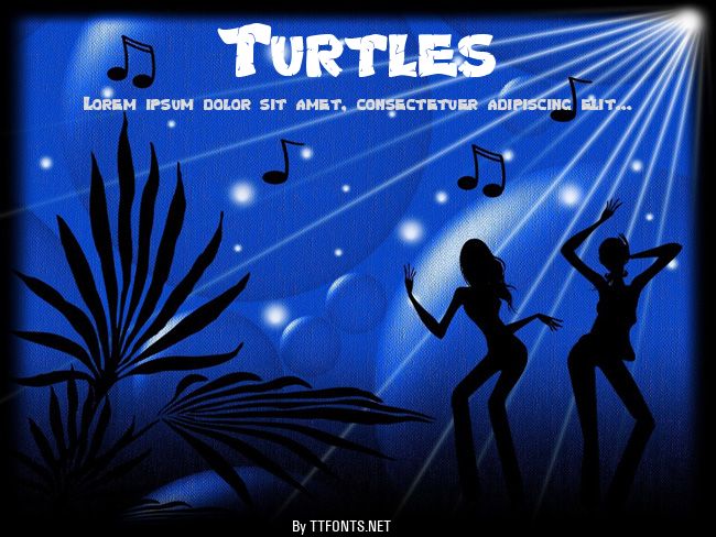 Turtles example